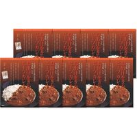 サニーフーズ 「乃木坂しん」石田伸二監修 お出汁をきかせたビーフカレー CT3-04 1セット（直送品）