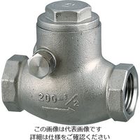 エスコ Rc 1” スイングチャッキバルブ EA465AC-10 1個（直送品）