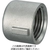 エスコ Rc 1/2” キャップ(ステンレス製) EA469AJ-304A 1セット(15個)（直送品）