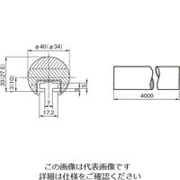 杉田エース 集成材フレックス手すり 34x4000 塗装 453880 1個（直送品）