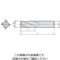 ダイジェット工業 ソリッドエクストラロングエンドミル EXLーE4形 EXLーE4ー13X100 1個（直送品）