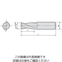 ダイジェット工業 ソリッドキー溝エンドミル SKD2ーP形 SKD2ー030P 1個（直送品）
