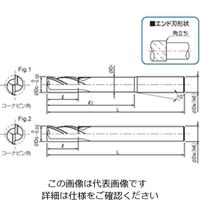 アルミ加工用ソリッドエンドミル(ロングシャンク・アンダーネック) ALーSEEL2ーLS形 ALーSEEL2160ーLS 1個（直送品）