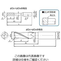 バリューコートラジアスエンドミル(ロングシャンク・アンダーネック) DVーSEDーLSーR形 DVーSEDー2120ーLSーR1.5 1個（直送品）