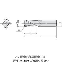 ダイジェット工業 ソリッドラジアスエンドミル SEDーR形 SEDー2100ーR2.0 1個（直送品）