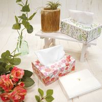 包む ポケットティッシュBOX 2柄各1個入 ボタニカル TB013 1パック×5（直送品）