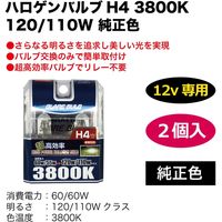 ブレイス ハロゲンバルブH4 3800K 120/110W純正色 BE-303 1セット（直送品）