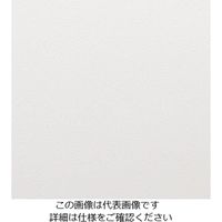 生興 天板 TーN63W 1個（直送品）