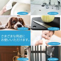 コルハート アクアサニターバッグインボックス(10L) 950000 1箱