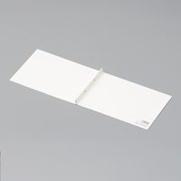 セキセイ のび~るファイル A4E 4穴 白 最大収納枚数1000枚 AE-51-70 1セット(10冊)