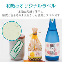 エレコム 和紙ラベル雁皮（がんぴ）A4サイズ EDT-FWA2 1袋（5シート入）