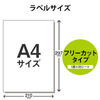 エレコム ラベルシール 宛名シール きれいにはがせる ノーカット ラベル枚数：20枚 EDT-TKF 1袋（20シート）（直送品）