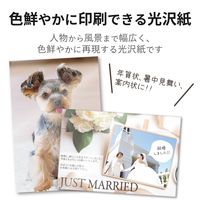 エレコム 光沢ハガキ用紙/写真用 EJH-GANH100 1袋(100枚)（直送品）