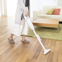 工機ホールディングス R12DA(ESW)コードレスクリーナー　1台（直送品）