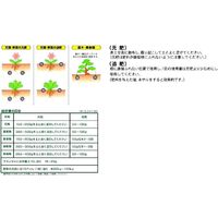サンアンドホープ 高度化成肥料 16号 10kg 4543693013156 1個（直送品）