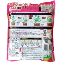 サンアンドホープ マム・マーガレットの肥料 500g 4543693013828 1個（直送品）