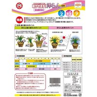 日清ガーデンメイト 洋らんの肥料 2kg 4560194951572 1個（直送品）