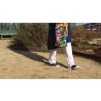 キング園芸 ムシ退治シェイカー 1.3kg 4560314542949 1個（直送品）