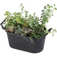 大和プラスチック グロウコンテナオーバル 25型 ブラック 4903266729233 1個（直送品）