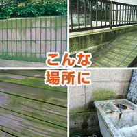 レインボー薬品 コケとーるシャワー 1.2L 4903471307042 1個