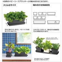 リッチェル ベビーリーフプレート 12型N ダークグレー 4973655704721 1個（直送品）