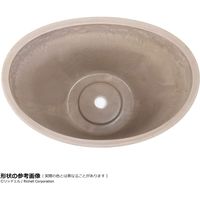 リッチェル ボタニーバルカボール30型 ベージュ 4973655748220 1個（直送品）