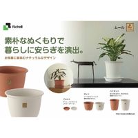 リッチェル ムールハイポット8号 ブラウン 4973655795811 1個（直送品）