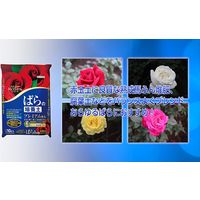 住友化学園芸 マイローズ ばらの培養土 10L 4975292603566 1個