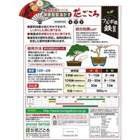 花ごころ 開運 中粒 3kg 4977445100809 1個（直送品）