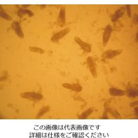 アズワン 稚魚用飼料 20mL 4-1940-01 1個（直送品）