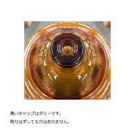 アズワン ガラスデシケーター(褐色) Φ200mm 4-2782-03 1個（直送品）