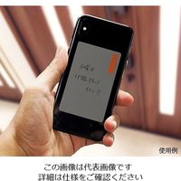 コスモテック ウェアラブルメモ ウェモ wemo P-LG(S) 1枚 4-2908-01（直送品）