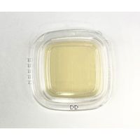 極東製薬工業 DDチェッカー(細菌検出用培地) DD寒天培地 一般細菌検出用 1箱(100枚入) 04201 1箱(100枚)（直送品）