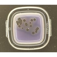 極東製薬工業 DDチェッカー(細菌検出用培地) MLCB寒天培地 サルモネラ検出用 1箱(100枚入) 04271 1箱(100枚)（直送品）