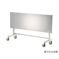 テックサス 折りたたみ式ステンレス作業台 シングル FT-S1560D 1台 4-1961-02（直送品）