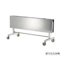 テックサス 折りたたみ式ステンレス作業台 ダブル FT-W1290D 1台 4-1961-04（直送品）