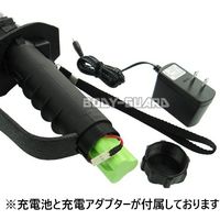 エスエスボディーガード タイタン スタンガン KXLF 充電式モデル★ TITAN-KXLF-BTR 1台（直送品）