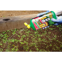 アース製薬 アースガーデン 除草剤 アースカマイラズ 草消滅 シャワー 4901080288219 1セット（700ML×8）（直送品）