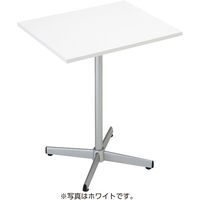 ストア・エキスプレス カフェテーブル メラミンタイプ エクリュ クローム脚 6301-2010 1本（直送品）