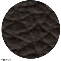 ストア・エキスプレス 昇降式カウンターチェア PVCロータイプ ブラック 6929-206 1セット（直送品）