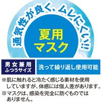 アルファ サラッとひんやりマスク 100個セット AAA0788B 1セット(100個入)（直送品）