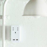 電源タップ USB充電器 壁挿しタイプ 2P式/4個口 USB×2 雷サージ付 SATI COLOR CT221WH ホワイト 1個 ファーゴ