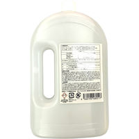 フジ産業 GAGGIA/Caffitaly専用合成洗剤 1000ml MEL-F1000 1個