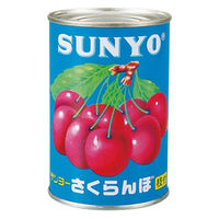 サンヨー堂 ケ)業務用 さくらんぼ枝付(レッドチェリー) 1680 1セット(12缶)
