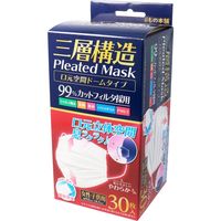 iiもの本舗 三層構造 プリーツマスク 口元空間ドーム 個別包装 女性子供 30枚入×24セット 4589596692654（直送品）