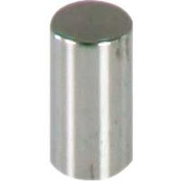 ファースト ポピック かざりビス10本セット ナットタイプ no6n10-10 1セット(10本)（直送品）