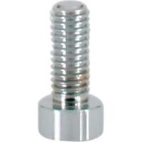 ファースト ポピック かざりビス10本セット ボルトタイプ no8b4-10 1セット(10本)（直送品）