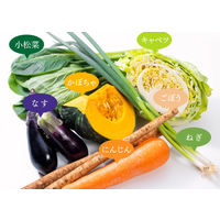 ひかり味噌 VEGE MISO SOUPカップあげなすと6種の野菜 3個