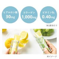 ORBIS（オルビス）　コラーゲンゼリー　白ぶどう味　1箱(14本入)　スティック型ゼリー