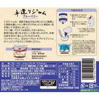 カンピー ザ・プレミアム 手造りジャムつめかえ用ブルーベリー 500g 1個